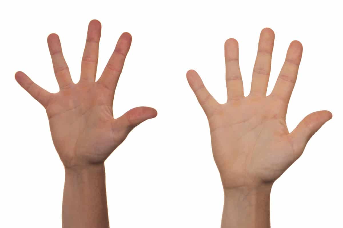 image of two hands holding up 10 fingers depicting asking how many plans a Medicare Insurance Plans of Clinton Broker represents